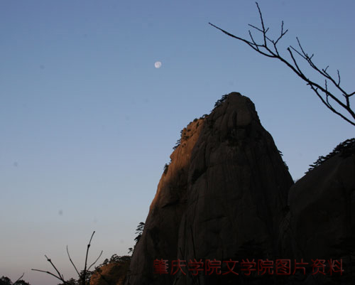 点击浏览下一页