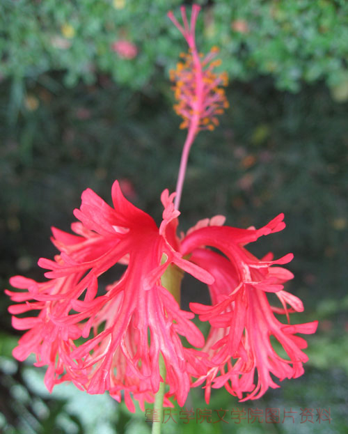 点击浏览下一页