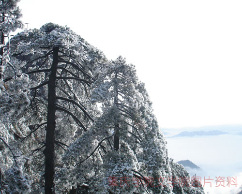 点击浏览下一页