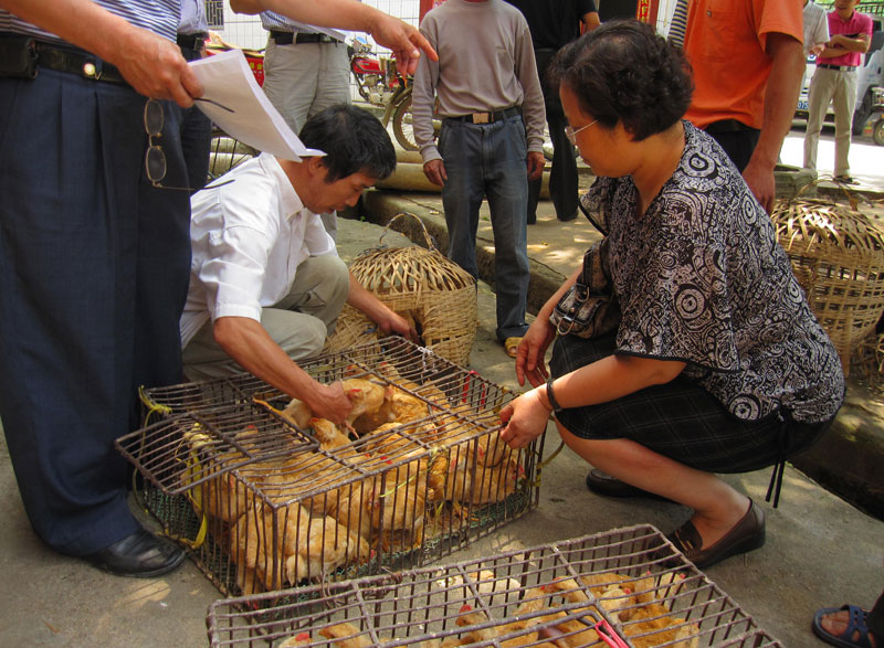 点击浏览下一页