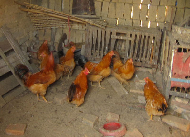 点击浏览下一页